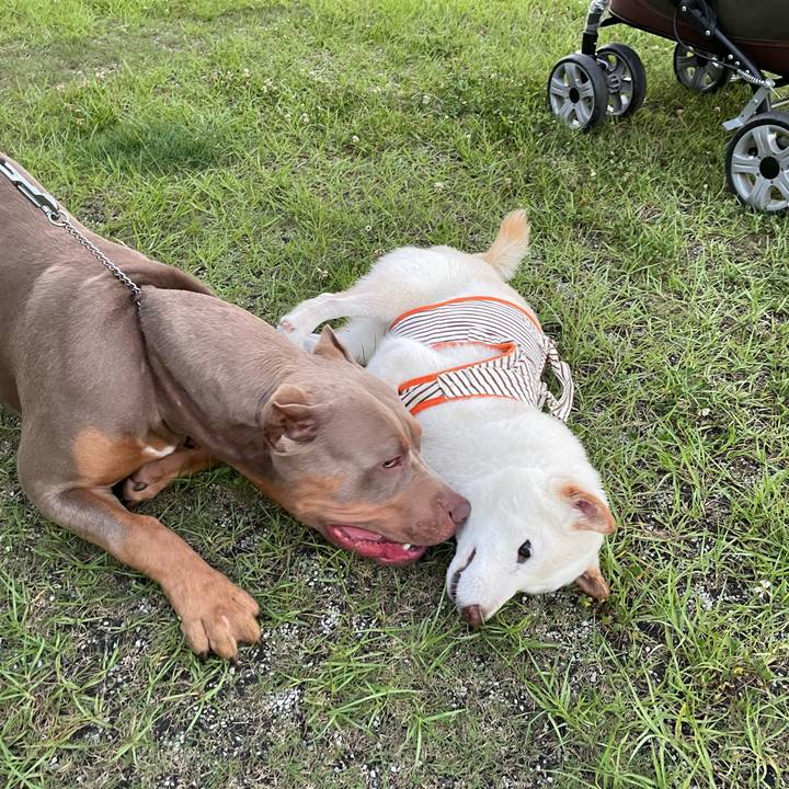 6057adf0 f852 4052 a17d 0957768c5a6d 1656685431420