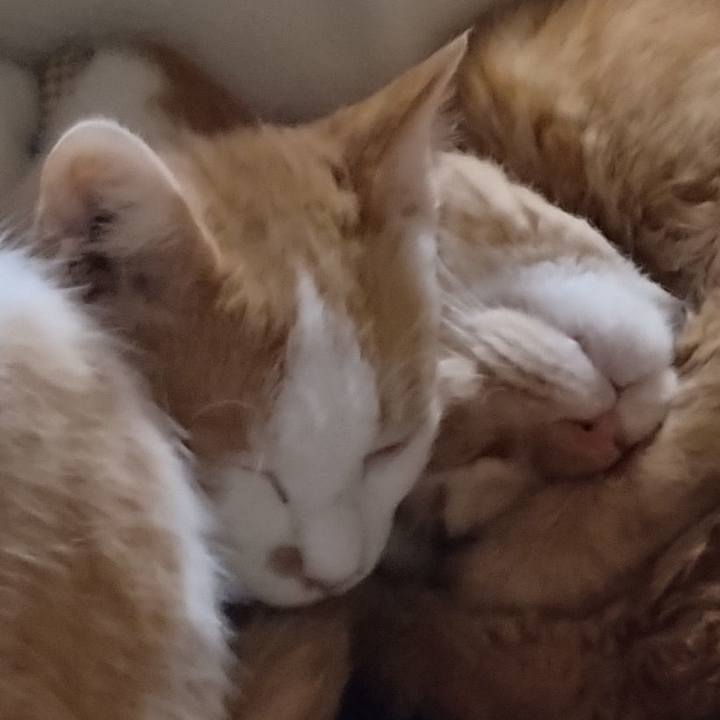 6057b746 cffc 435d b8c6 edfe5e21295f 1733894656550