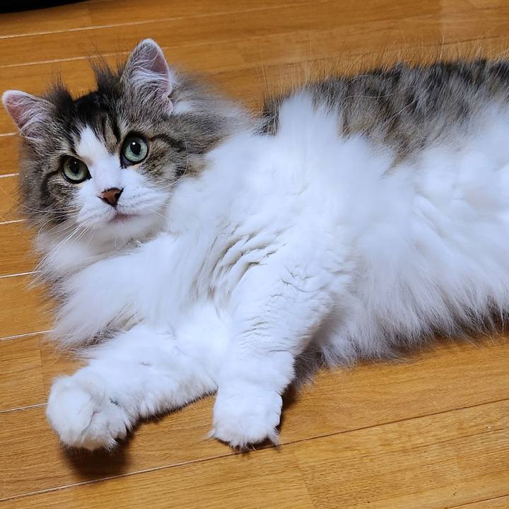 6057c863 461b 467c ad1d 6690d33a27a3 1716498817506