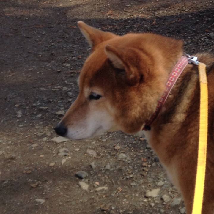 6057f0d1 2c9e 4bd8 bc46 4340d7a5b92d 1521796228801