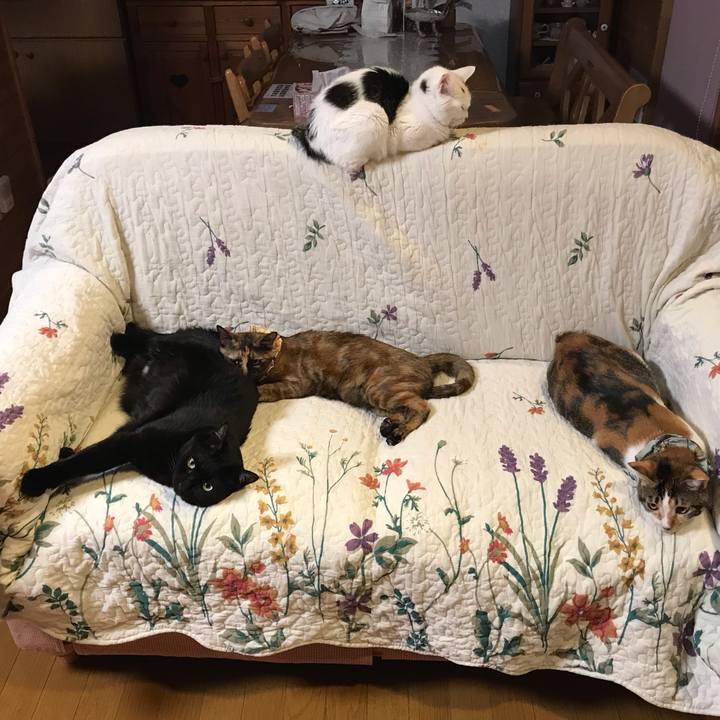 605807ab 5291 4d73 b4d0 00cdecab8b6d 1648644510571