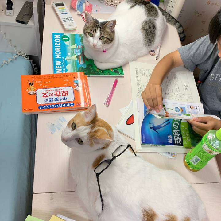 60588a45 3990 42ba bdab e8b659461995 1570463618081