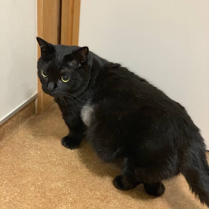 6058afb8 75a3 4d8a bf9b 004ec07123cf 1561770685372