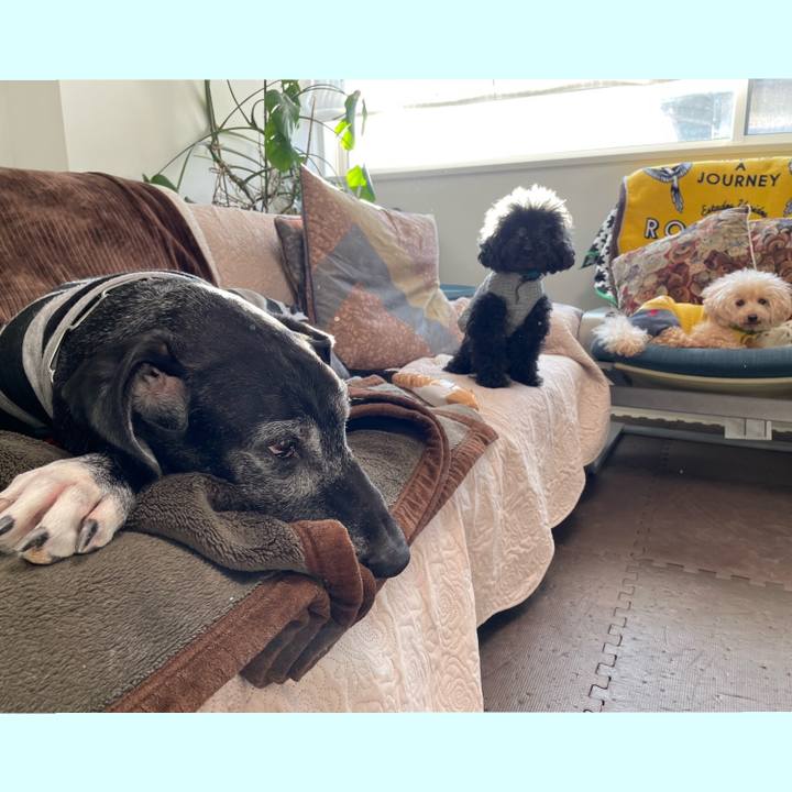 6059192d 2373 4d0c a65f c12438be619e 1637879766886