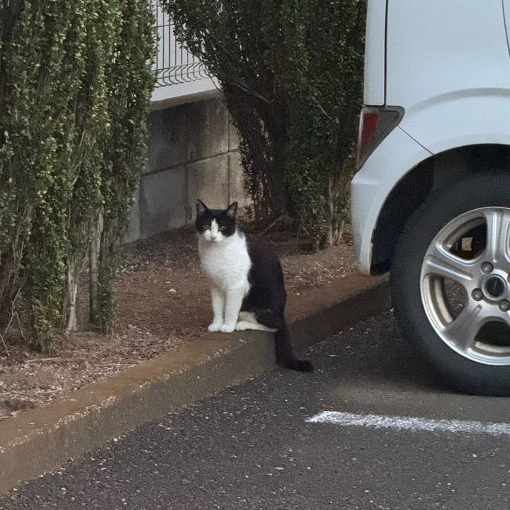 60594958 728b 4a19 a1e5 1dbccf13853d 1755651987673