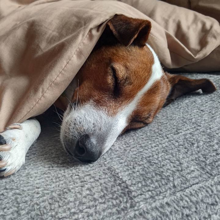 60595f75 3949 404e 9814 04306eed762e 1684103831192