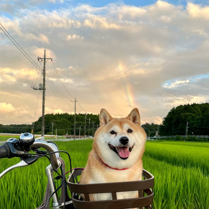 60596255 584e 4e13 97a0 076398810f33 1658750651432