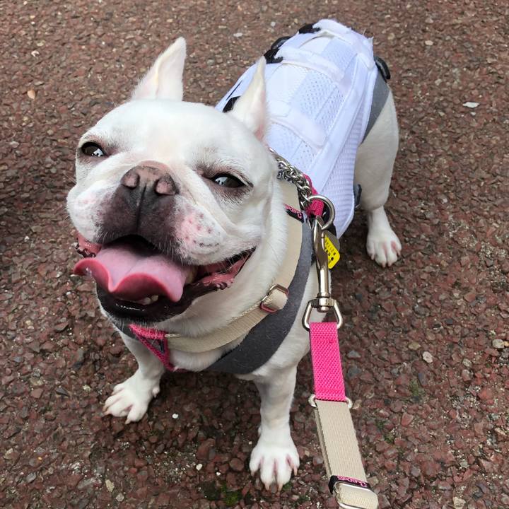 6059b300 7e5c 4988 9290 3813b03dc760 1572157763912