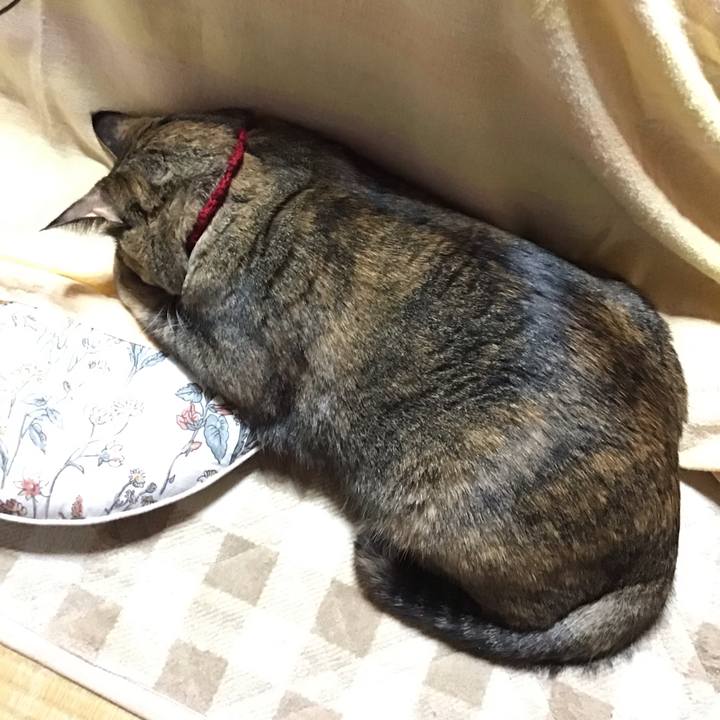 6059c7d1 4e44 4f58 aab7 f9dc7955c9bd 1702462494569