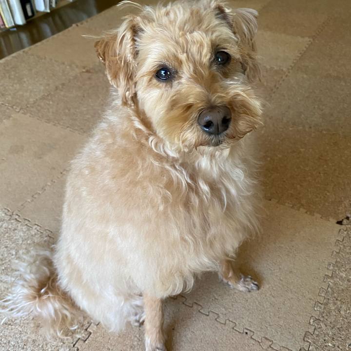 605a145f c7c9 4e3b b655 fe42484812df 1651282777237