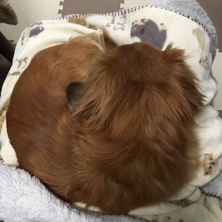 605a4f1b f123 4029 b00f 550fcf635ed1 1611141431621