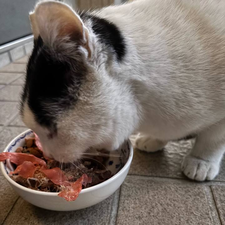 605a63bf f1a4 42d8 86fa b1e7eda27cdf 1765793037203