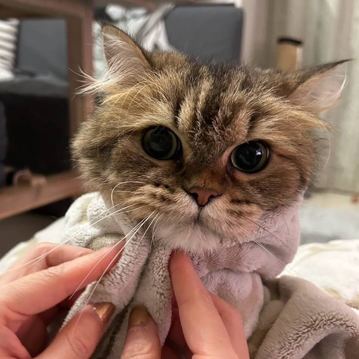 605ab569 852a 41ab 945d 3629d91eb7c4 1763907881586