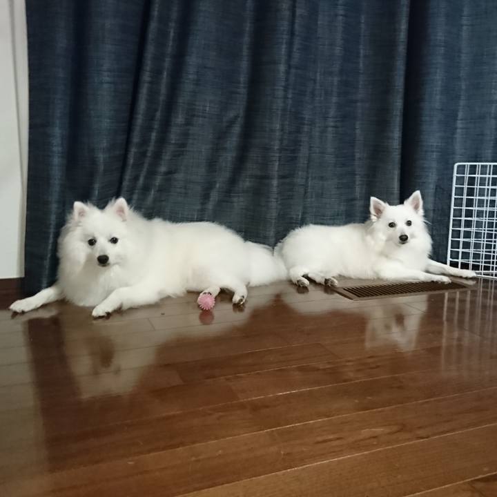 605af19d 1242 4614 9394 d9330baf5379 1560263221356