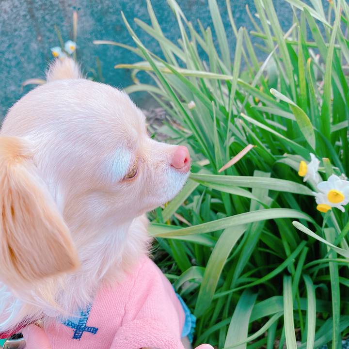 605b043b 61f3 460f 9331 0eab5c46cde5 1647000568623