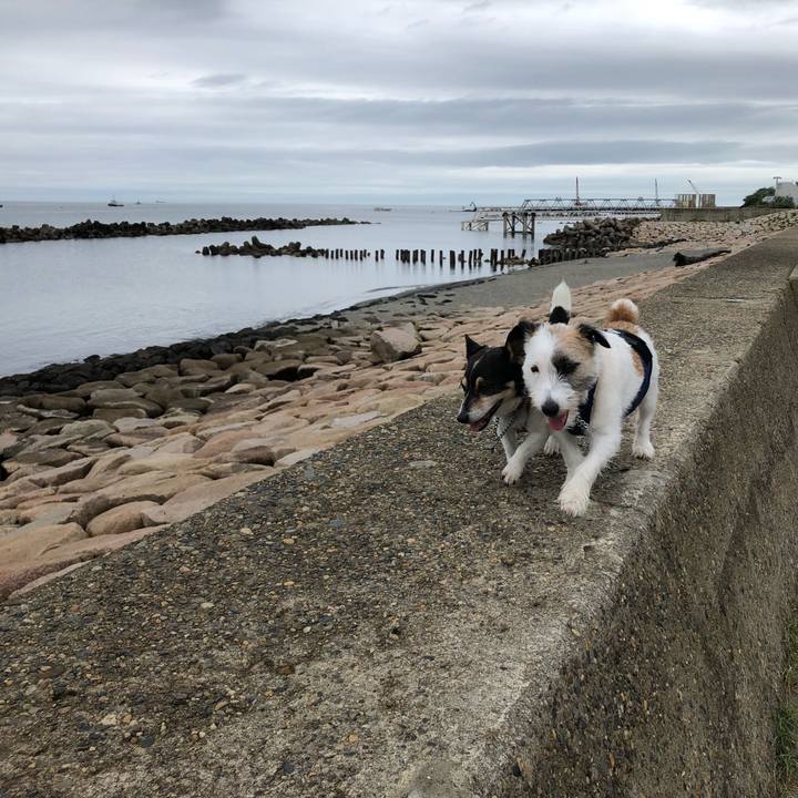 605b0f95 21a4 43ca a5e3 0bc0f3641b43 1563594510990