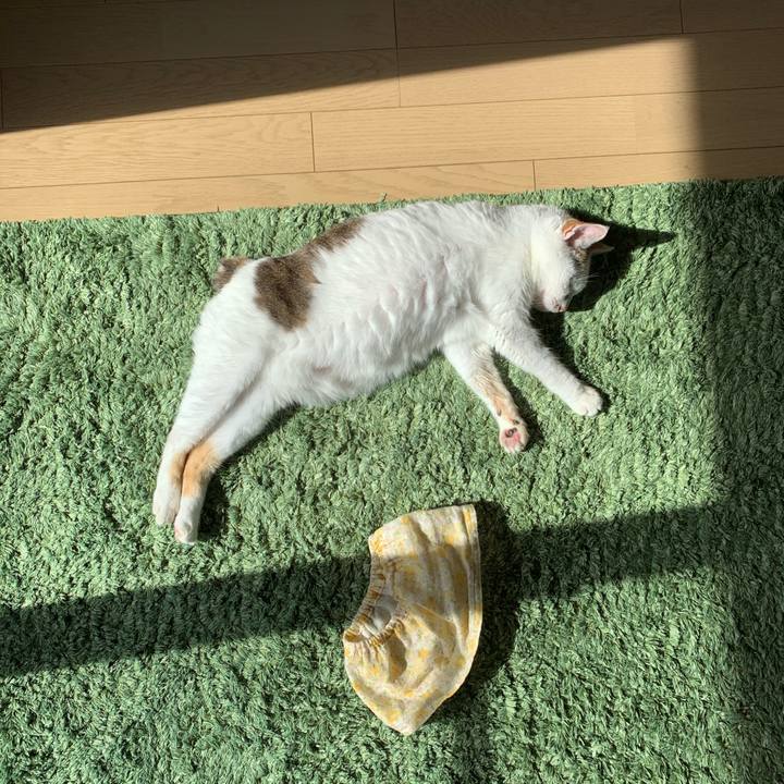 605b2273 7cb5 4619 8bcc 19f8a14ede6f 1635073643653