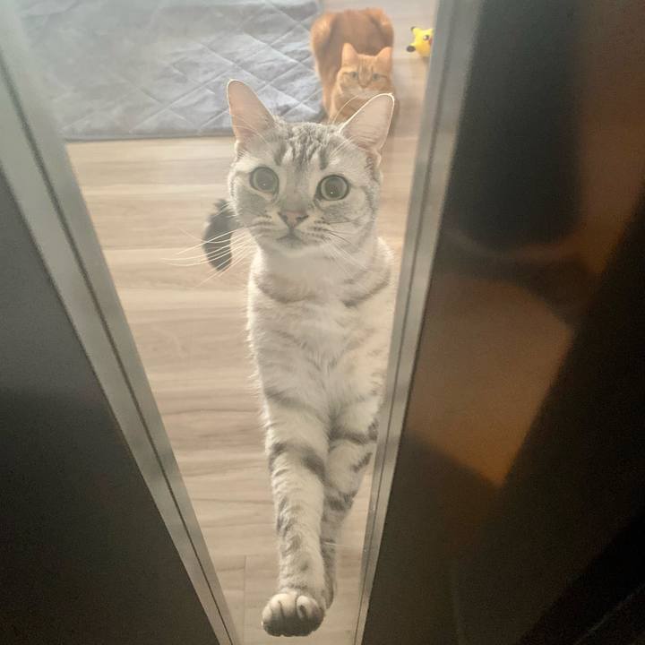 605b5e05 cae6 4795 bc76 0cfe3207b4fe 1675476167715