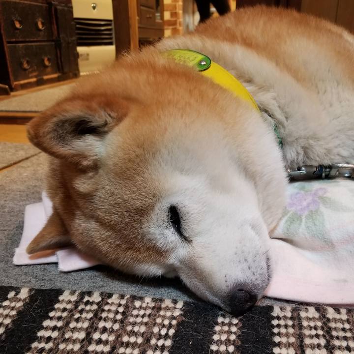 605b68a4 74b1 49d4 ae6a 40895e2c4790 1685787475237