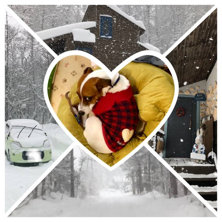 605b70b0 0136 4840 9dad 07cc90db3795 1545969734325