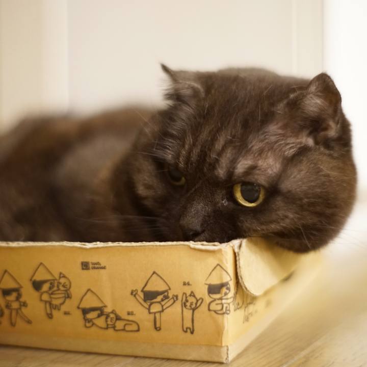 605b70f6 ff67 490c 80a1 e2181ffe0e61 1620493104220