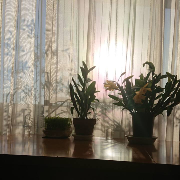 605b7126 d06a 4cd3 baaa 64c38dd657b4 1583965193697