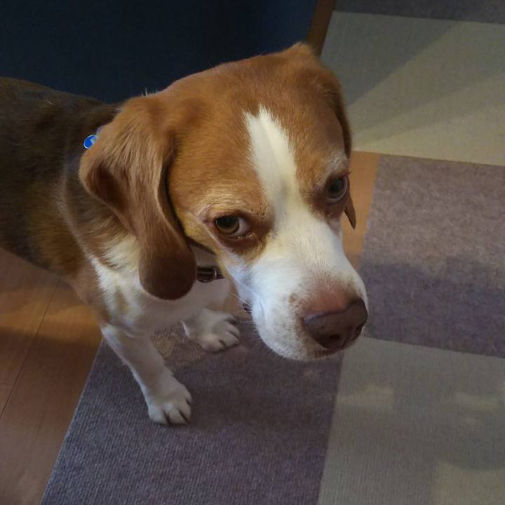 605b88c3 4468 490e 959f 88b0216d9856 1656305586791