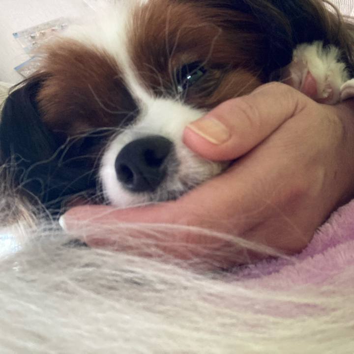 605b8efd bdd7 4cd2 acd0 9013a72ed86a 1631751101404