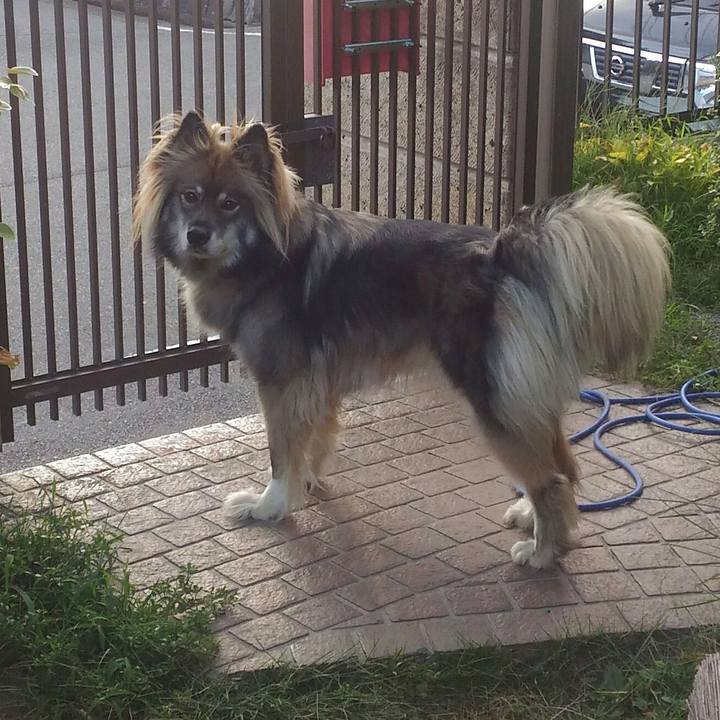 605bc25d 51d7 436a 89fb 048d38ebb0d5 1535359113840