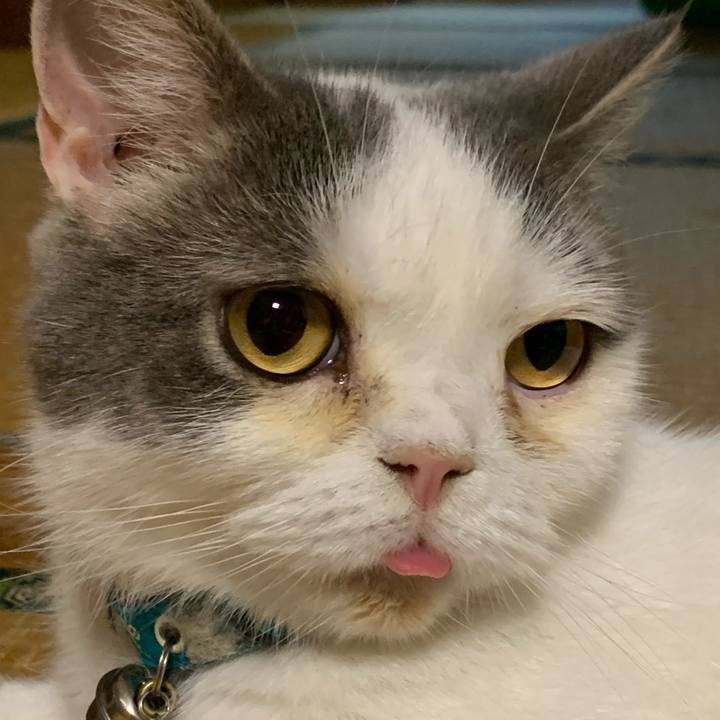 605bccb0 2d1a 4819 afdd 8c62007d5a2a 1691839302312