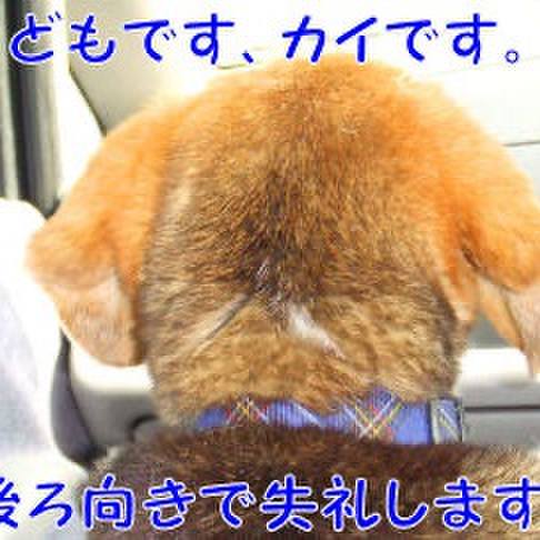 605bf249 40bc 4cac a73d fb8981cbfbd7 1710288279242