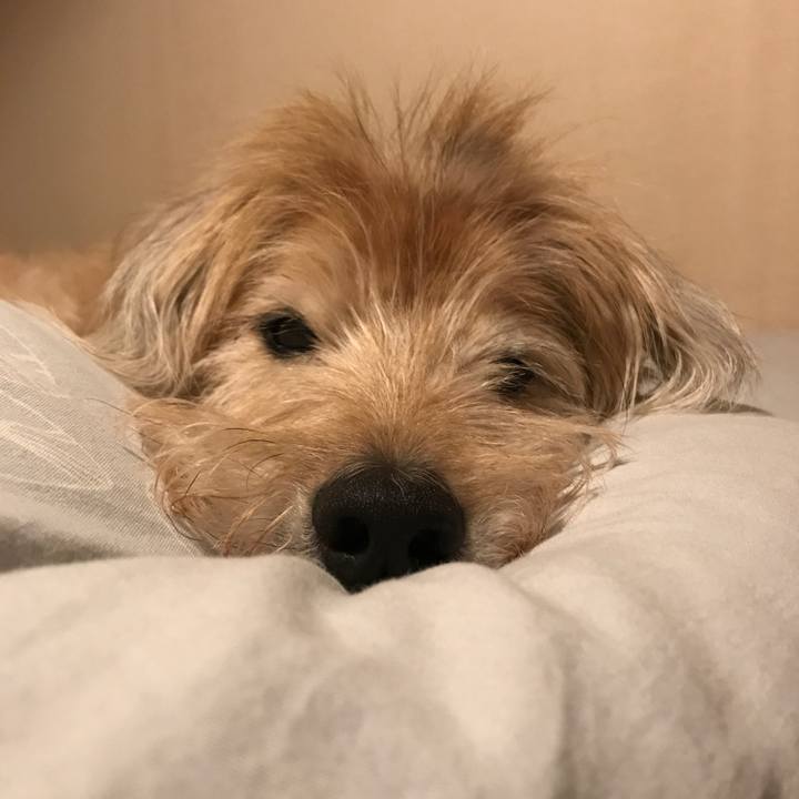 605bf36e a7e0 4312 b2ef a8ea8f4cebe3 1571929671996