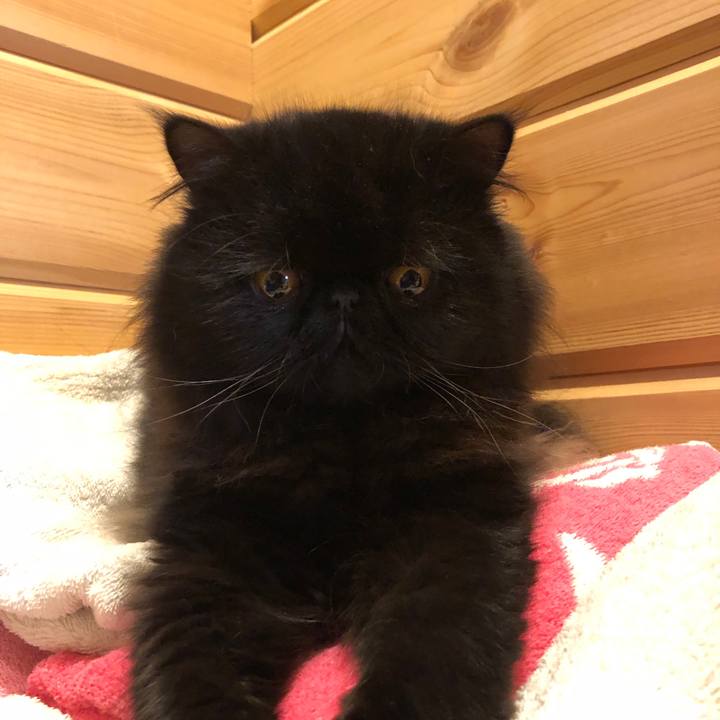 605c2b35 afbe 41eb 8013 e30be5669182 1531009851088