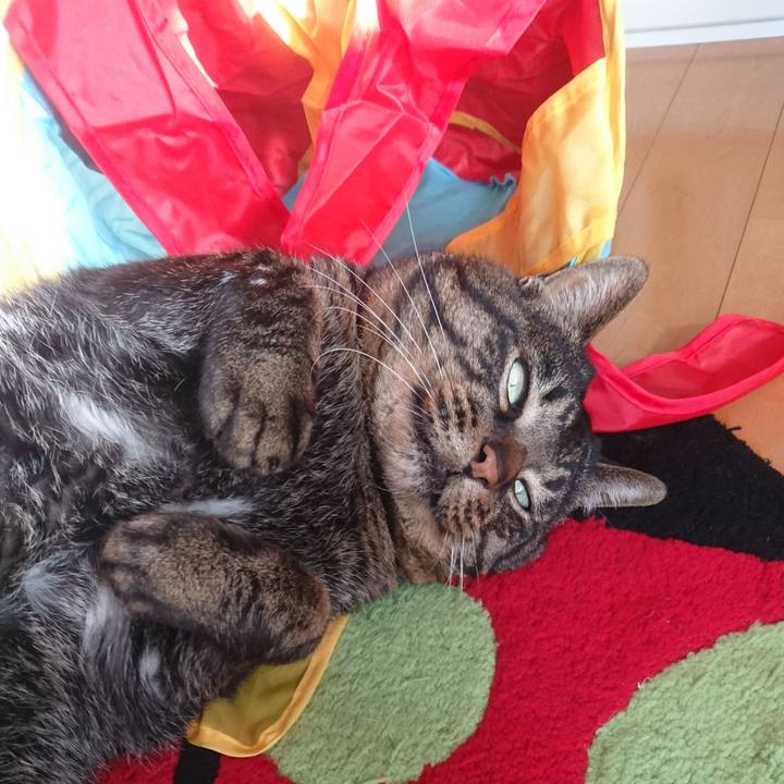 605c7173 4101 4580 8c2d 94bcb2b248e4 1516423768803