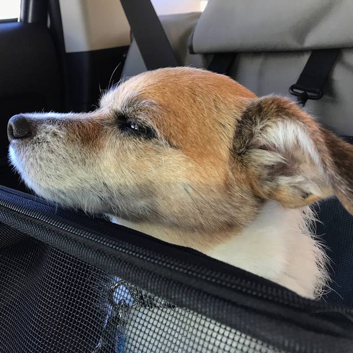 605c8b28 379a 48b1 9bce bcebb4ab48b9 1577434729847