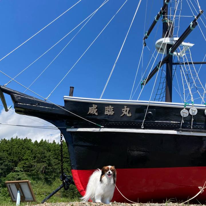 605ca91e ac09 4d02 bfe7 78fd206b346f 1660453529600