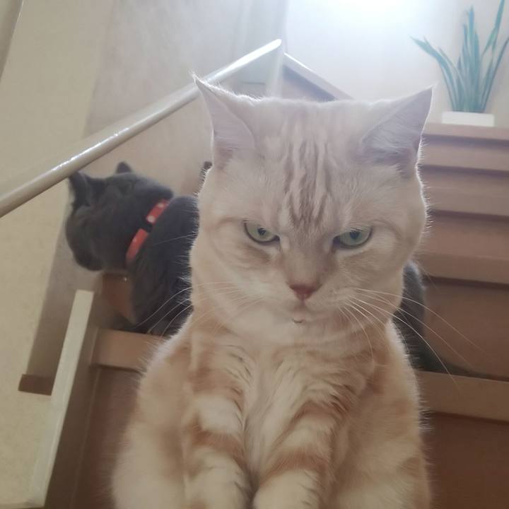 605cb3e9 7bc7 4651 9511 b32da53bf7ee 1539397140480