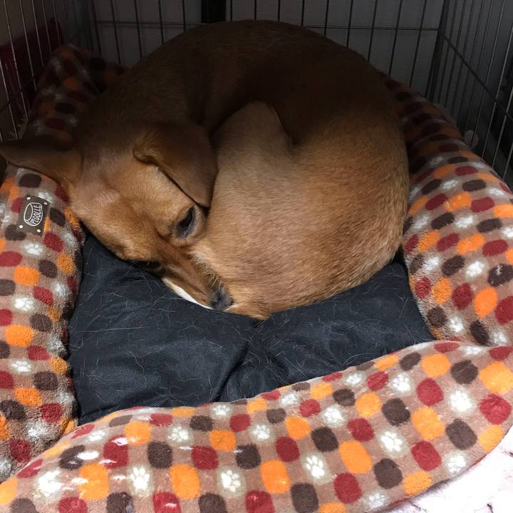 605cbb59 9109 4f47 b3f6 cfdcbfd1fbd3 1548885963385