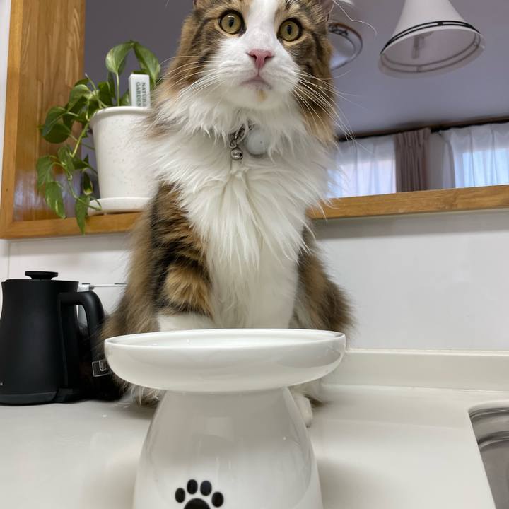 605cec21 6b30 4733 998d 871e19920c4a 1654425790540