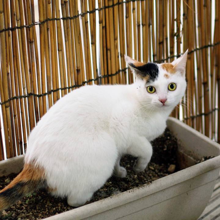 605d2927 d9c7 47dc 8d7b d704980f0ff9 1560474924768