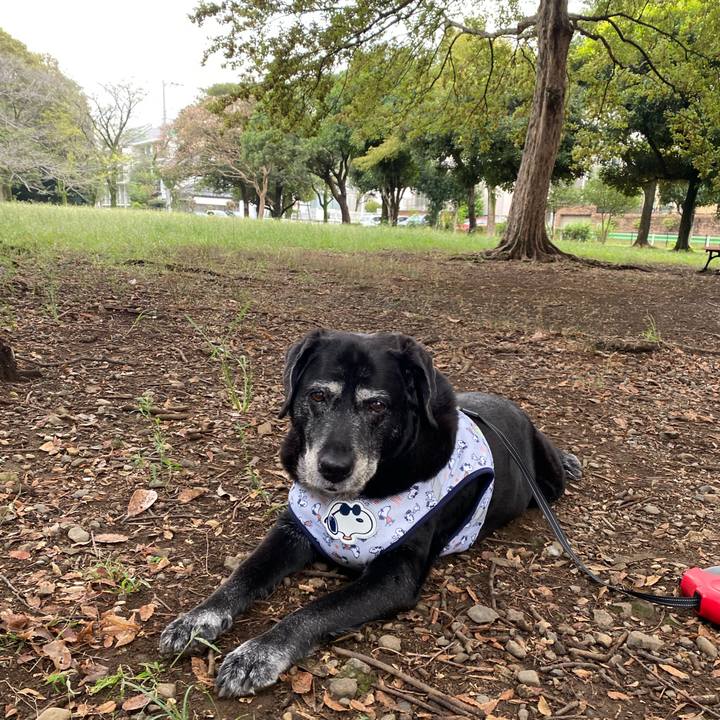 605d2a85 9273 4c77 99d9 24a46f272f17 1696471173575