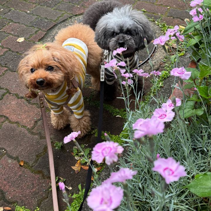 605d329f 171c 475b bc24 142c62749d51 1746918731425