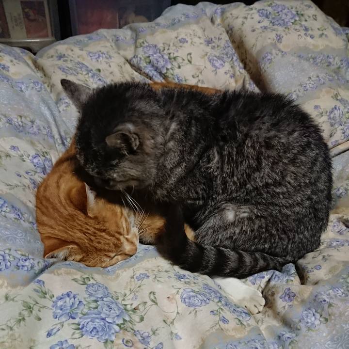 605d3f62 93e9 4621 a3c1 5477169d7083 1576755963863