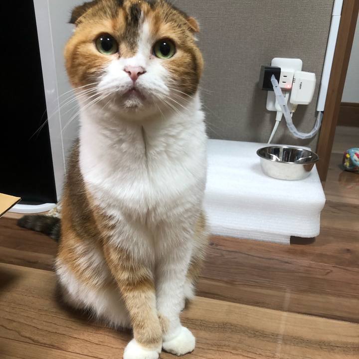 605d55f9 f76a 44ef b7b9 25c7cc32de0c 1627394318825