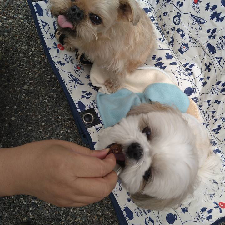 605d7b99 644f 4310 8010 5f6256e416e6 1651374290708