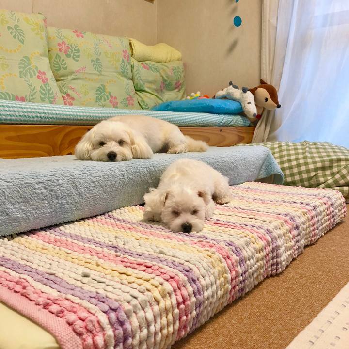 605d8916 d776 4df6 a80f a918a0d25e7f 1534117565742