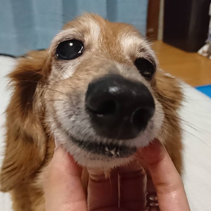 605d9482 a1e8 4929 8fac c1d8d86a1334 1573408862207