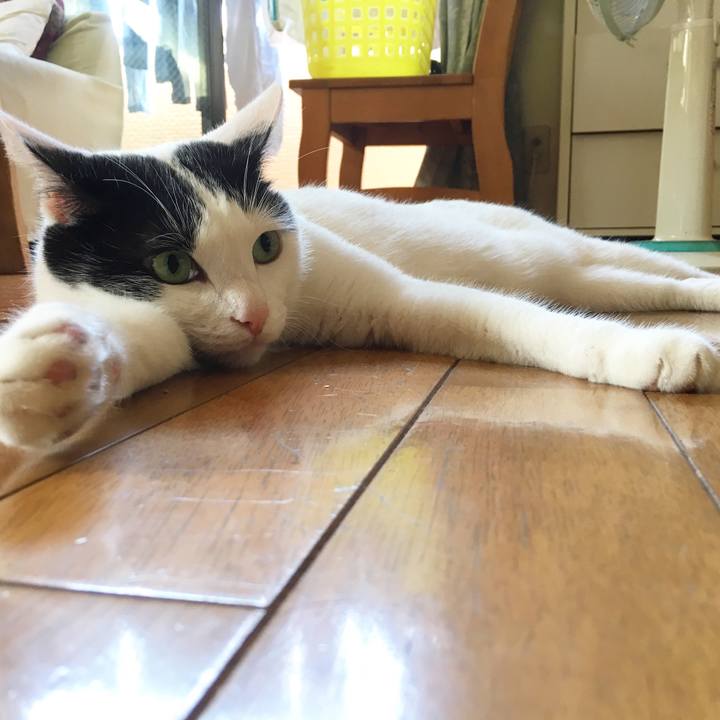 605da99c 7207 4744 bac5 56ec8d0d41e9 1533310115873