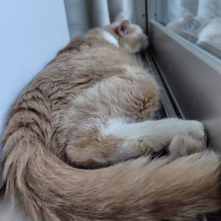 605e50bd cba3 46d5 958c 557a7e0c5294 1723852509812