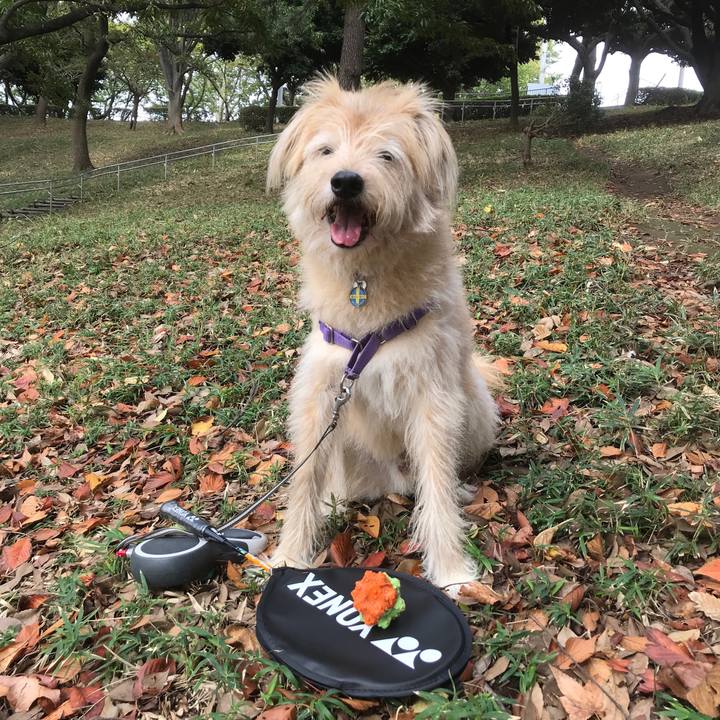 605e5127 3f21 4750 8ab3 a9802d4463b5 1539230357740